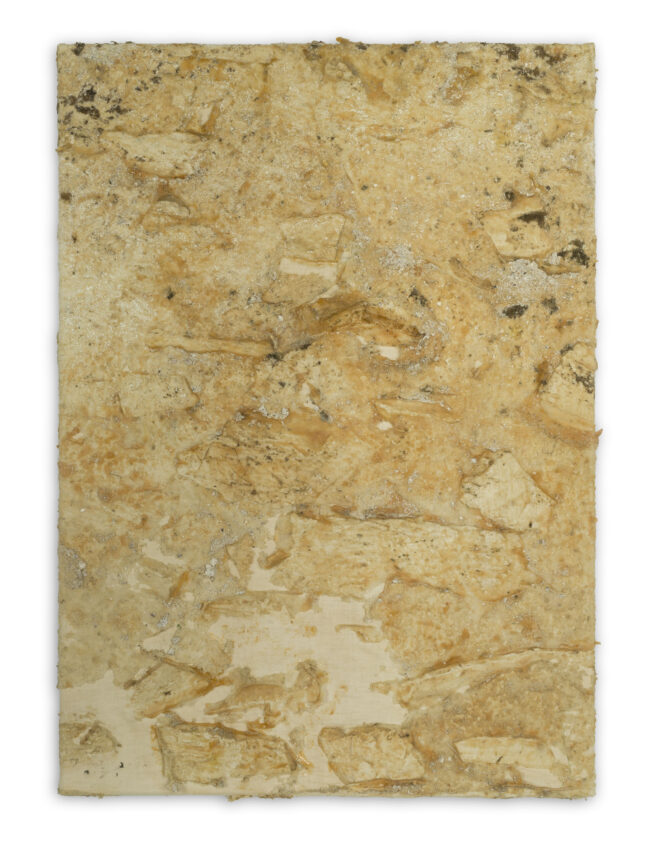 Luc Vandervelde Lux - Eventually Things fall Apart